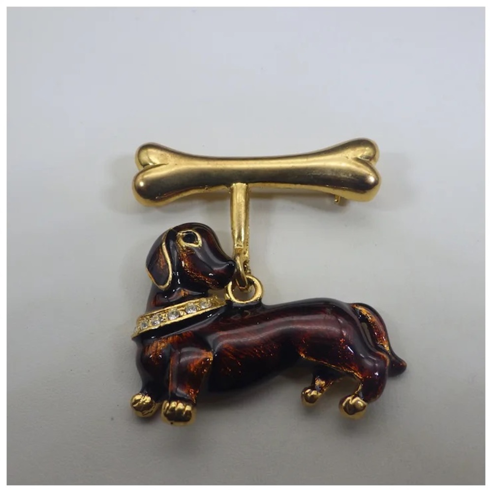 Chic Brown and Gold Dog Apparel